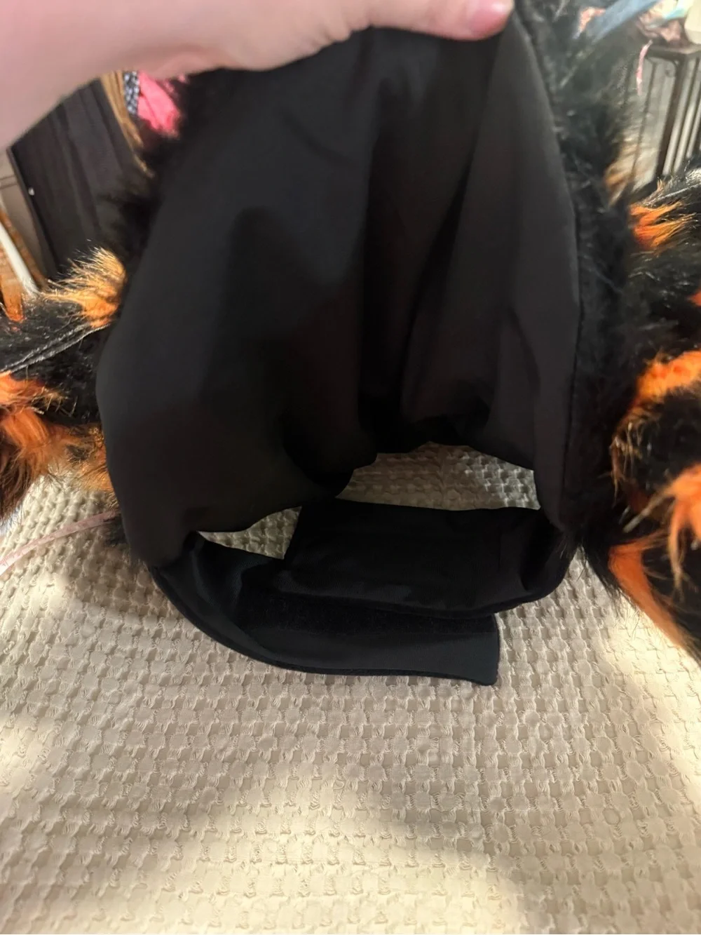 Skull & Bones Furry Spider Dog Halloween Costume Black Orange Plush XL